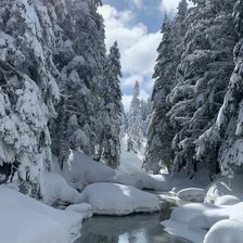 Схема вышивки «Зимний лес»