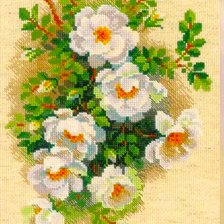 Схема вышивки «белый шиповник»
