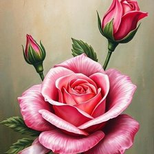 Схема вышивки «роза»