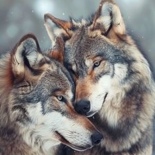 Схема вышивки «Волки»