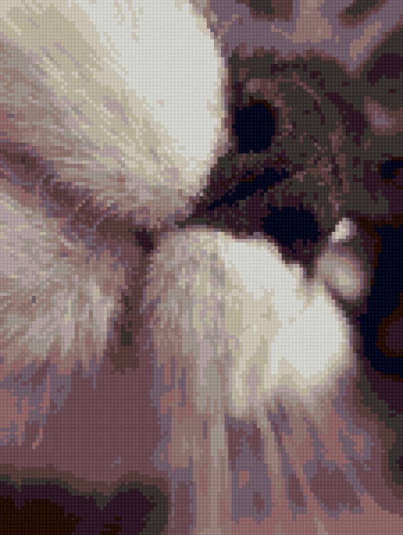 Cat - предпросмотр