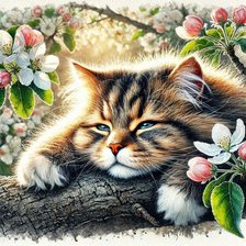 Схема вышивки «кот»