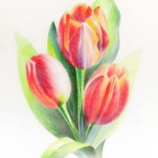 Схема вышивки «Тюльпаны»