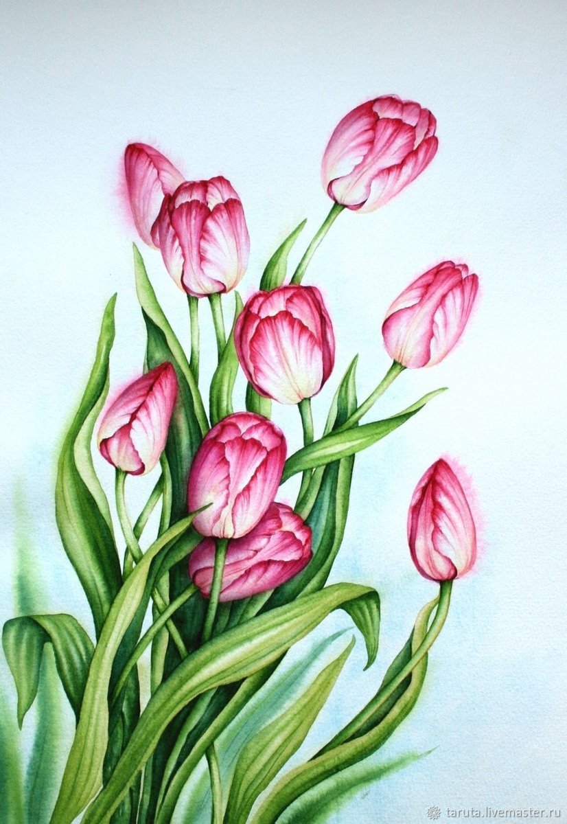 Розовые тюльпаны - тюльпаны, весна, праздник, цветы - оригинал