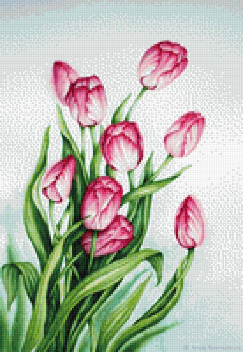 Розовые тюльпаны - весна, праздник, цветы, тюльпаны - предпросмотр