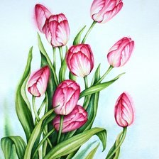 Схема вышивки «Розовые тюльпаны»