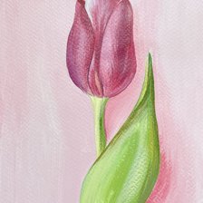 Схема вышивки «Тюльпан»