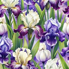 Схема вышивки «Ирисы»