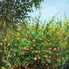 Лесная ягода. Елена Покушева