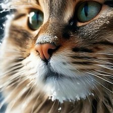 Схема вышивки «кот»