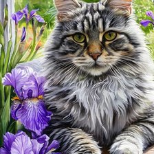 Схема вышивки «кот»