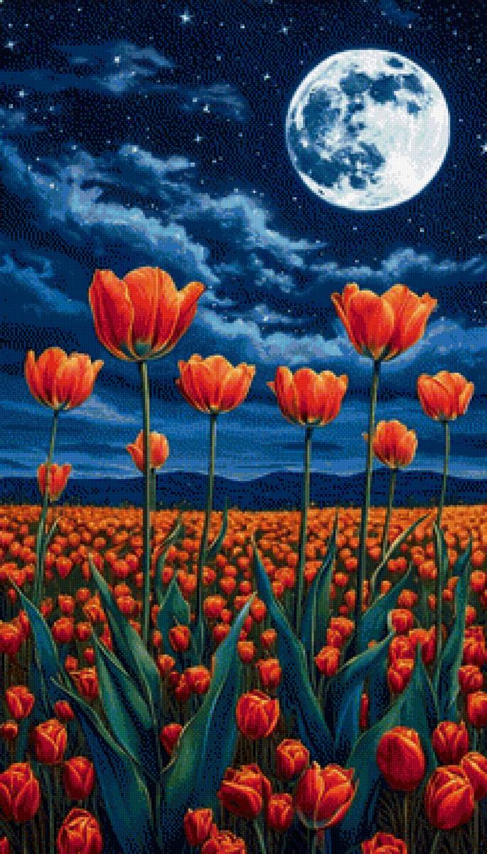 Маки - предпросмотр