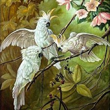 Схема вышивки «Попугайские разборки»