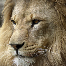 Схема вышивки «царь»