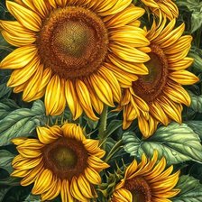 Схема вышивки «Подсолнухи»