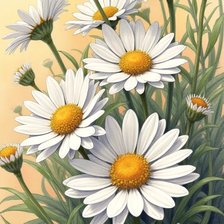 Схема вышивки «Ромашки»