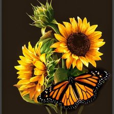 Схема вышивки «Подсолнух»