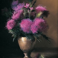 Схема вышивки «Чертополох»