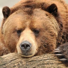 Схема вышивки «№2870410»