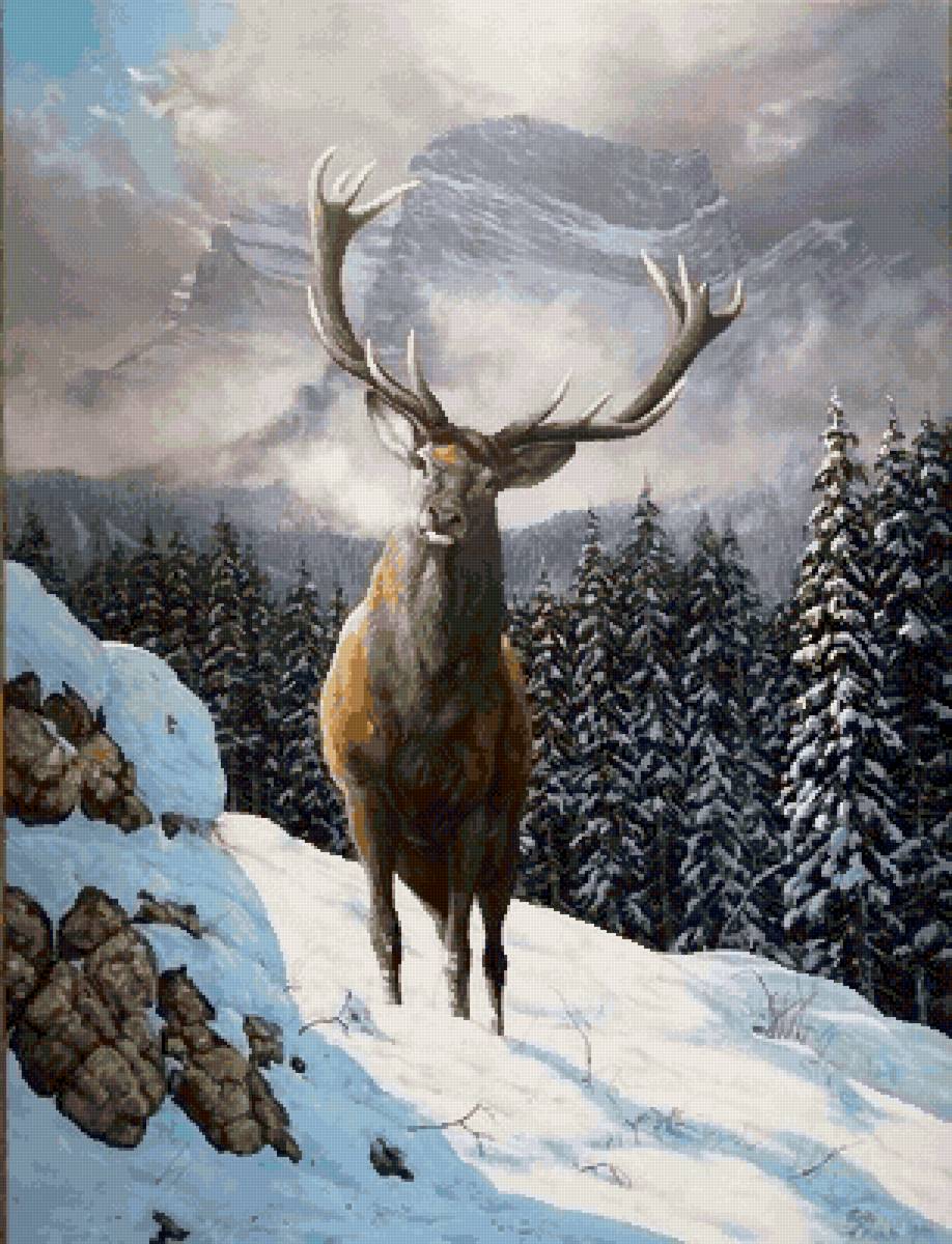 Олень - предпросмотр