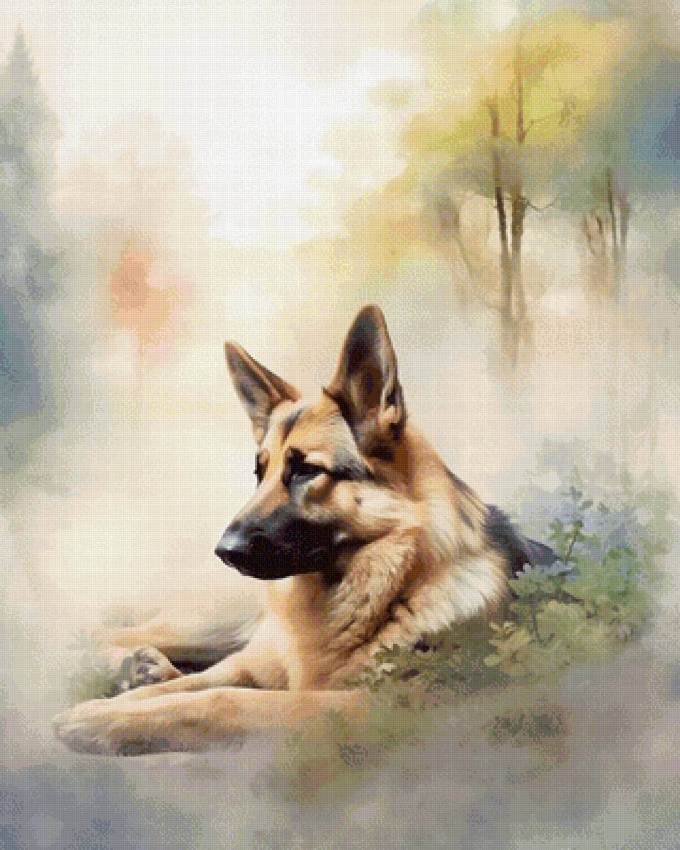 Овчарка. Акварель - художники - предпросмотр