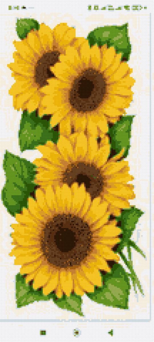 Подсолнухи - подсолнухи - предпросмотр