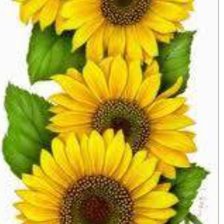 Схема вышивки «Подсолнухи»