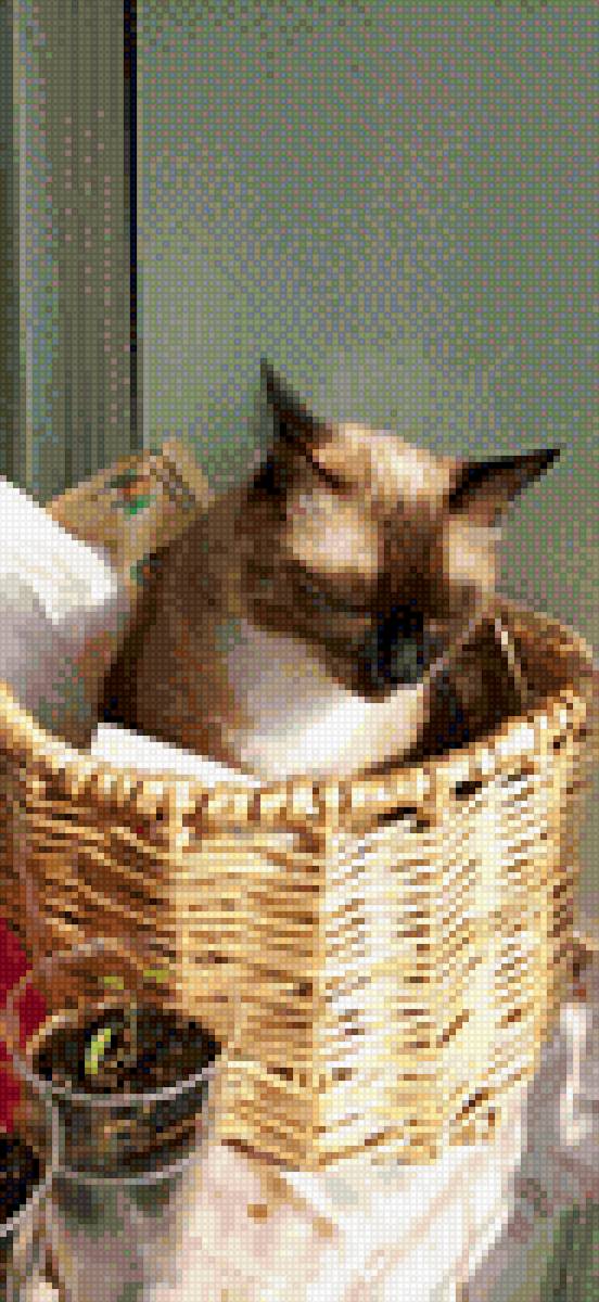 Кот Дар - кот - предпросмотр