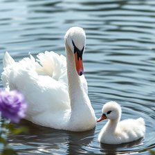 Схема вышивки «Лебеди»
