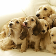 Схема вышивки «Семейка»