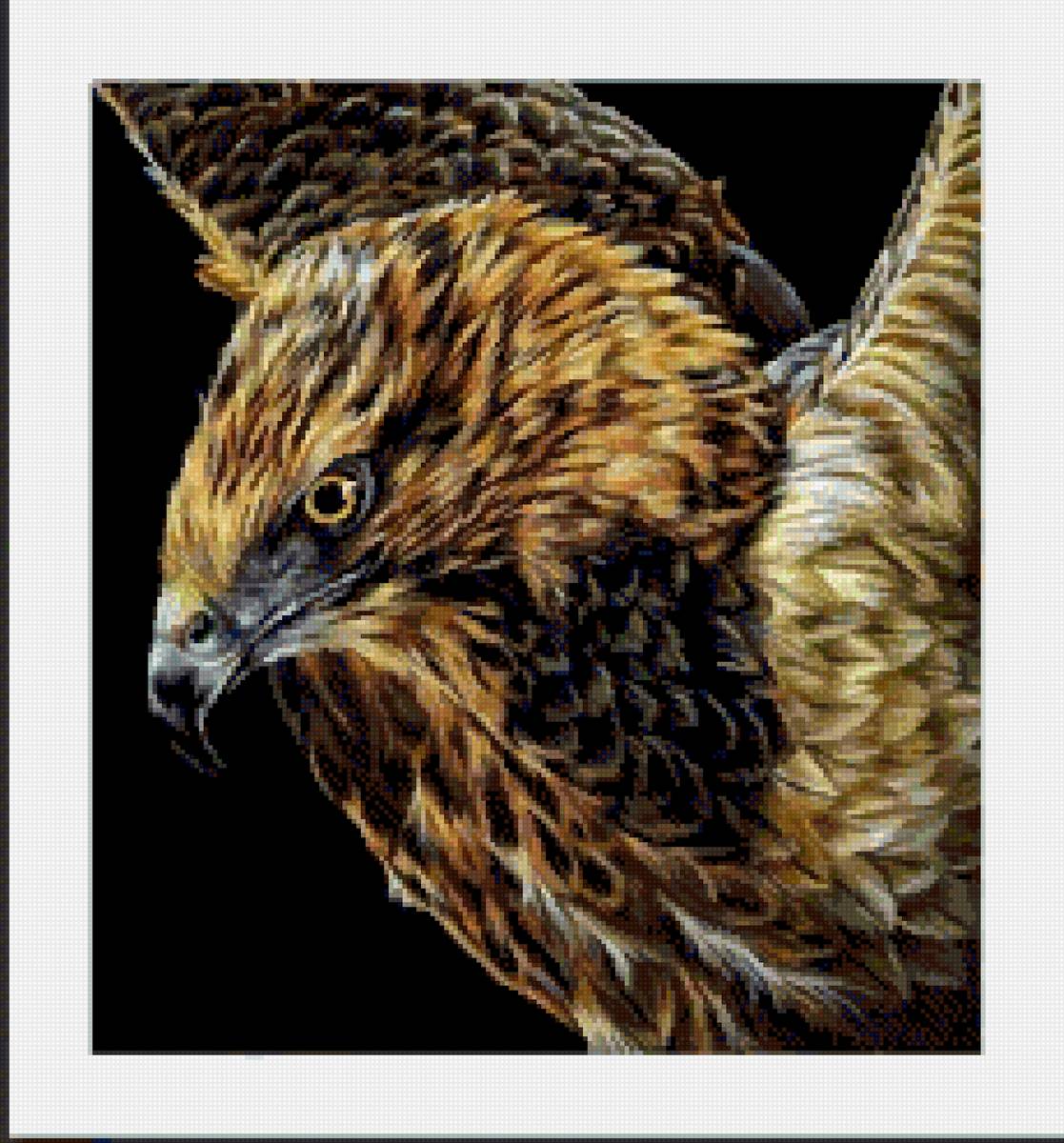 Птицы - орел - предпросмотр