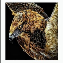 Схема вышивки «Птицы»