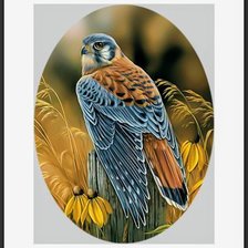 Схема вышивки «Птицы»