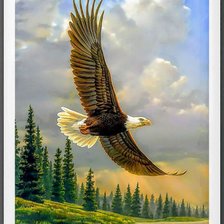 Схема вышивки «Птицы»