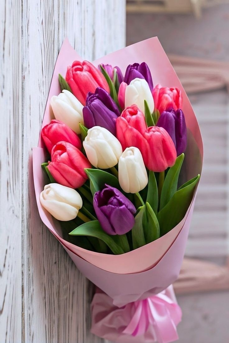 Букет тюльпанов - тюльпаны, цветы - оригинал