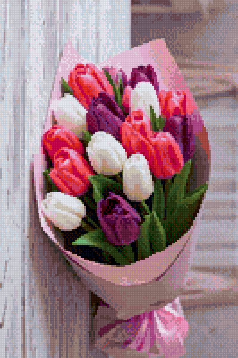 Букет тюльпанов - цветы, тюльпаны - предпросмотр