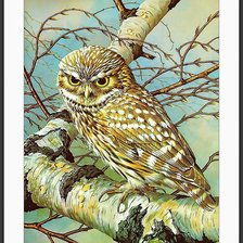 Схема вышивки «Птицы»