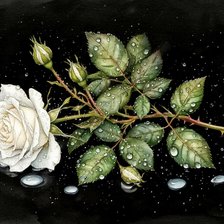 Схема вышивки «№2873002»