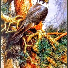 Схема вышивки «Птицы»