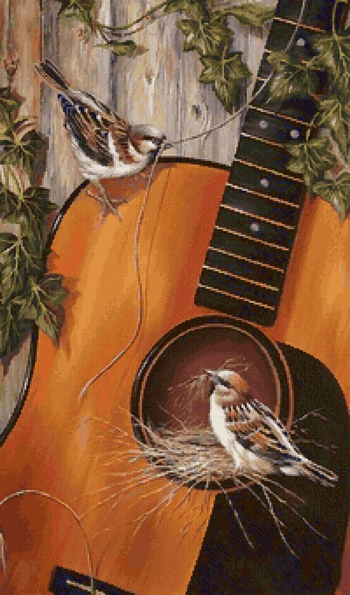 Воробьи, гнездо, гитара - гитара, гнездо, воробьи - предпросмотр