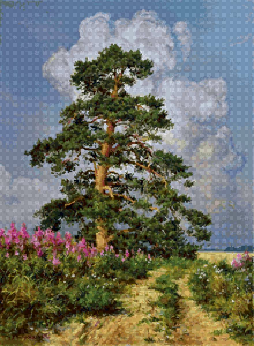 цветёт иван-чай - предпросмотр