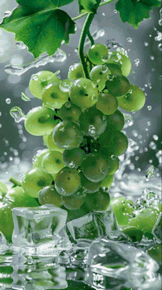 Лоза - ветка винограда, зеленый сочный виноград, натюрморт с виноградом - предпросмотр