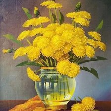 Одуванчики