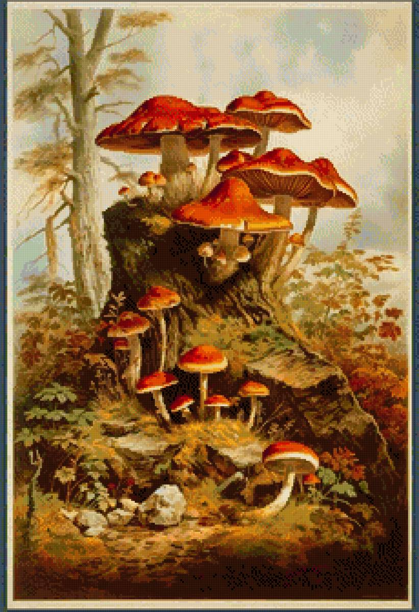 Природа - грибы - предпросмотр