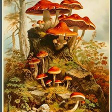 Схема вышивки «Природа»