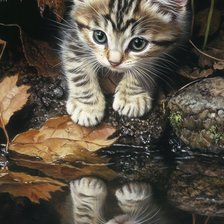 Схема вышивки «котенок»