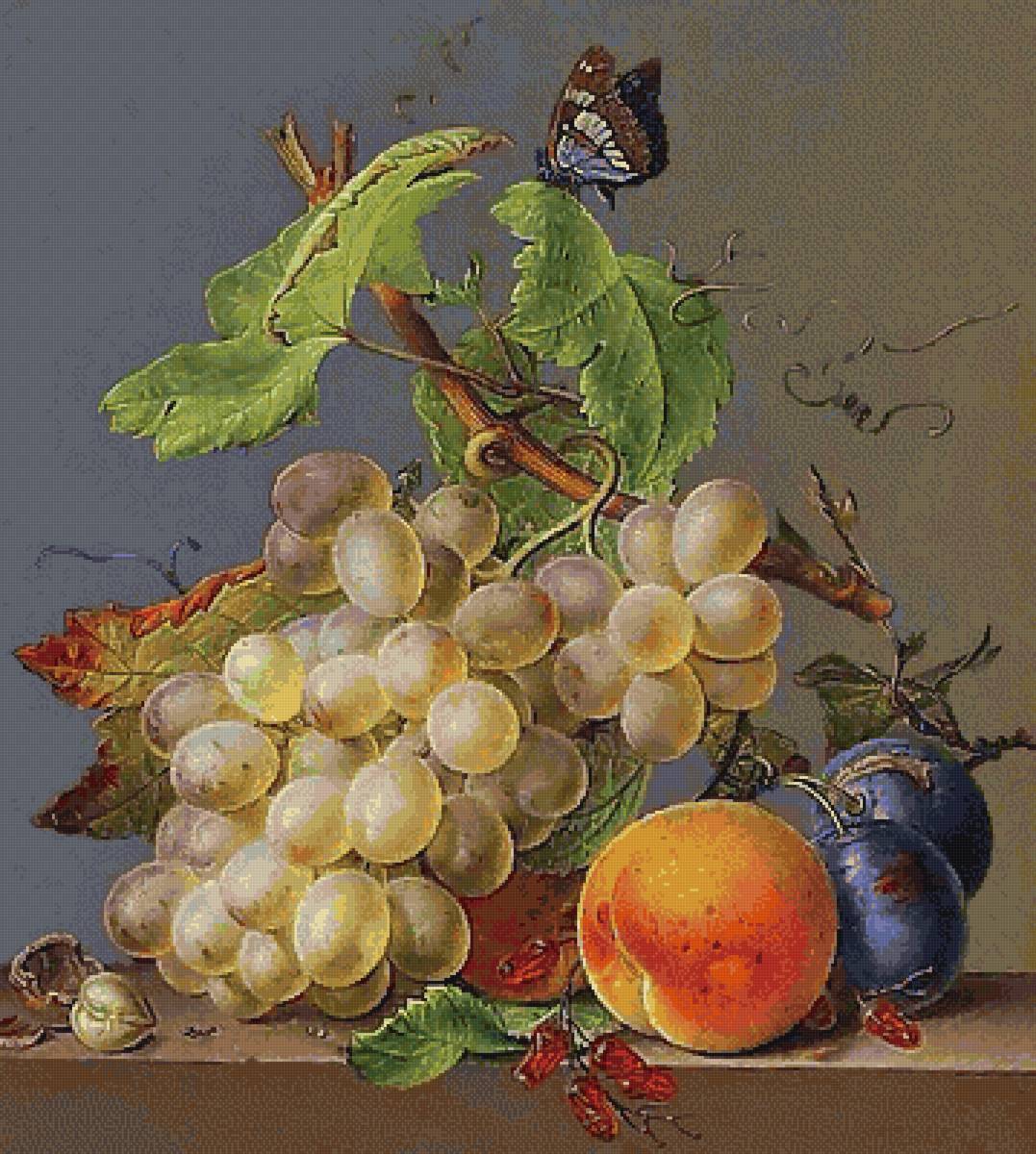 №2873661 - виноград, натюрморт - предпросмотр