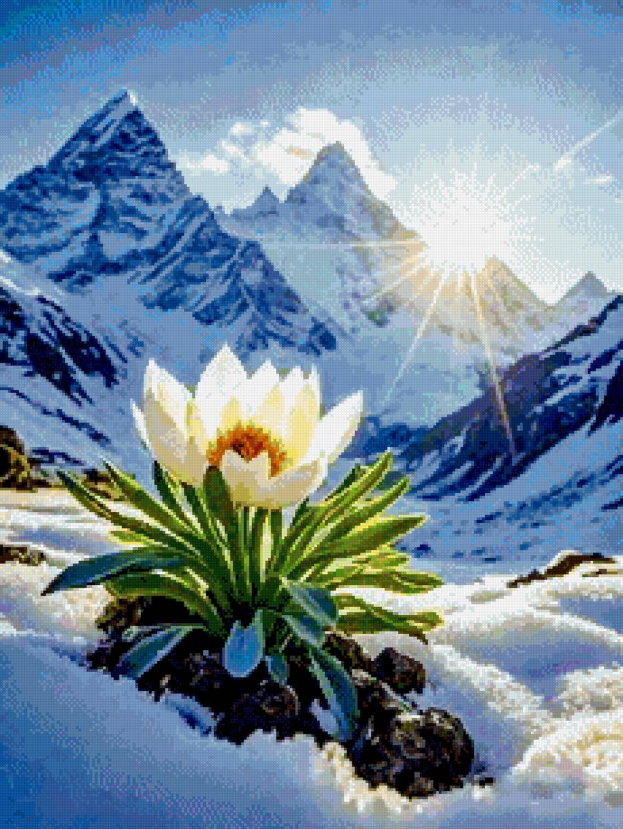 Горы - цветы - предпросмотр