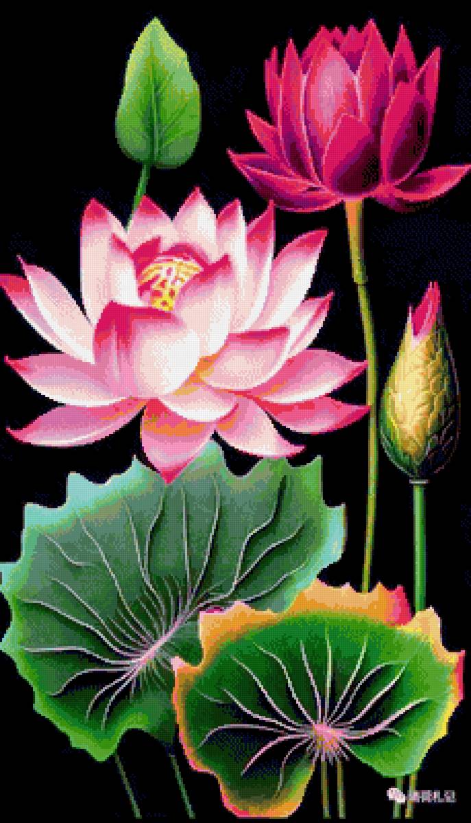 Цветы - предпросмотр