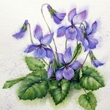 Схема вышивки «Лесная фиалка»